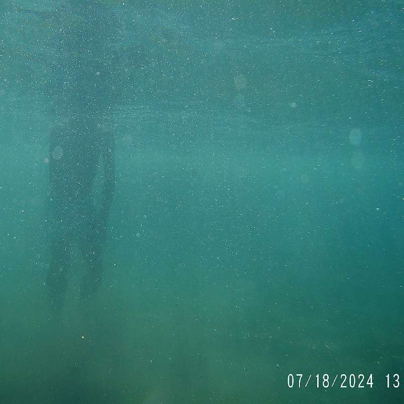 13: 2024-underwater_maui-0718_1321-7