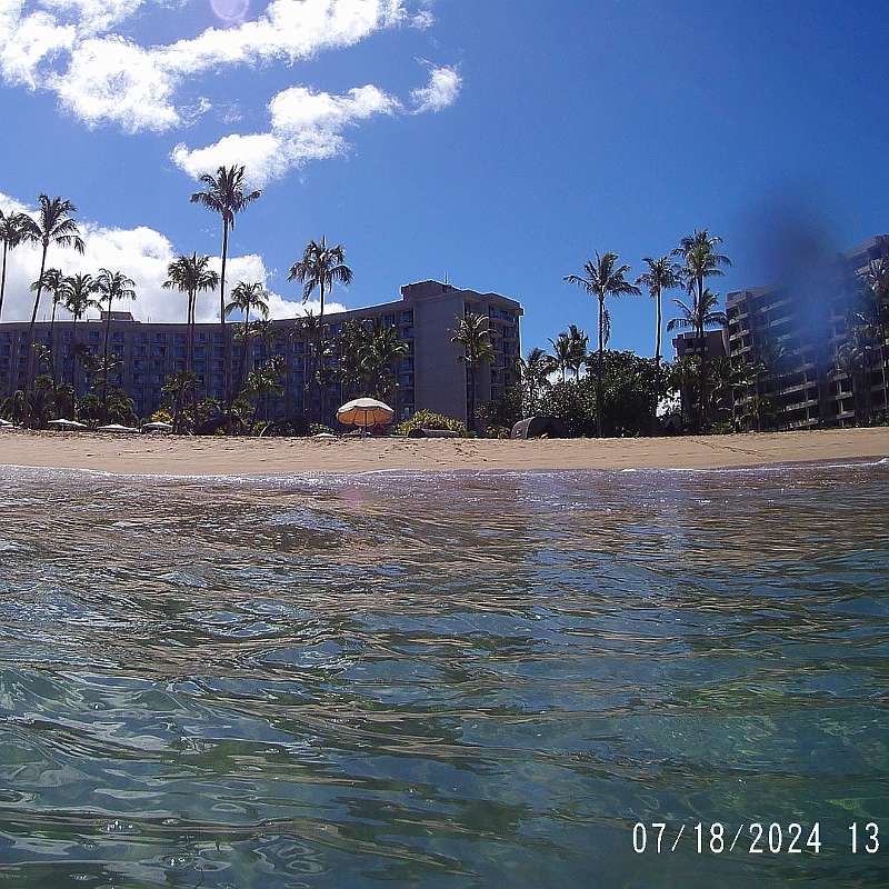 14: 2024-underwater_maui-0718_1321-8