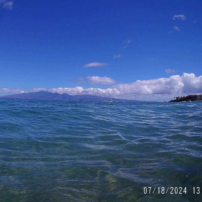 16: 2024-underwater_maui-0718_1322-10