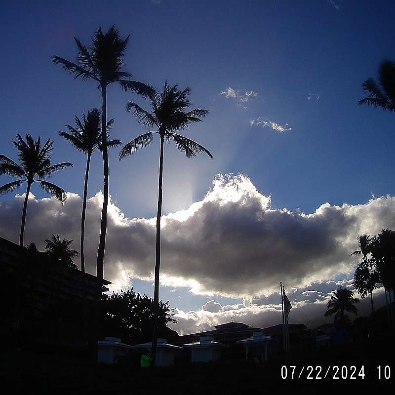 4: 2024-underwater_maui-0722_1047-14