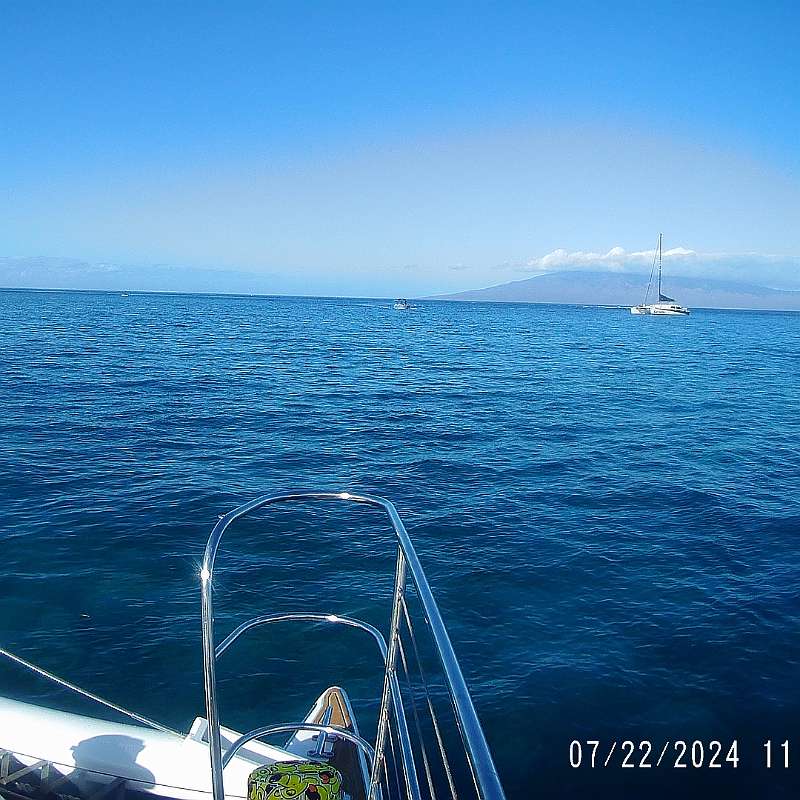 7: 2024-underwater_maui-0722_1103-18