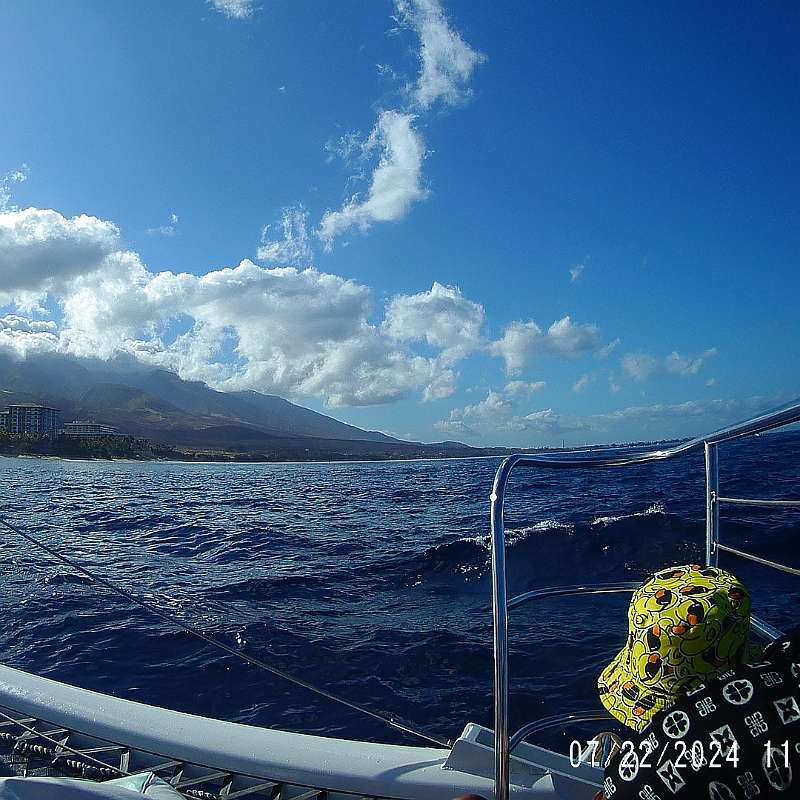 10: 2024-underwater_maui-0722_1109-21