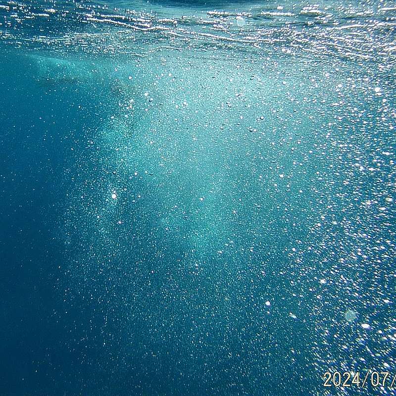 14: 2024-underwater_maui-0722_1147-27