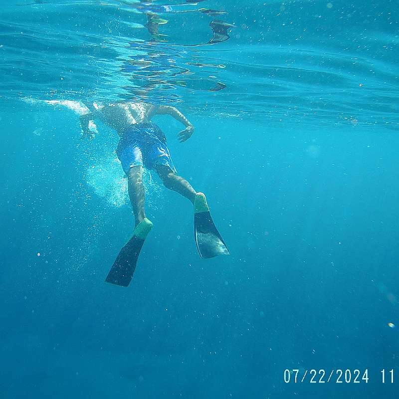 15: 2024-underwater_maui-0722_1148-29