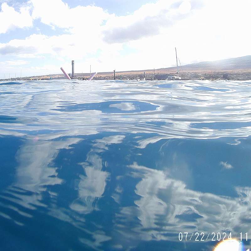 17: 2024-underwater_maui-0722_1148-33