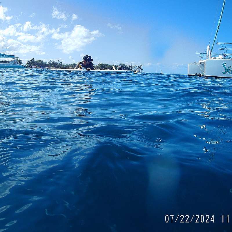 22: 2024-underwater_maui-0722_1155-43