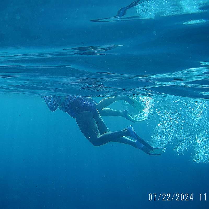 23: 2024-underwater_maui-0722_1156-45