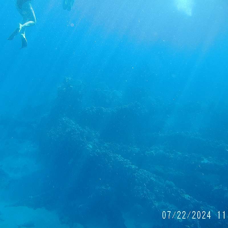 27: 2024-underwater_maui-0722_1159-51