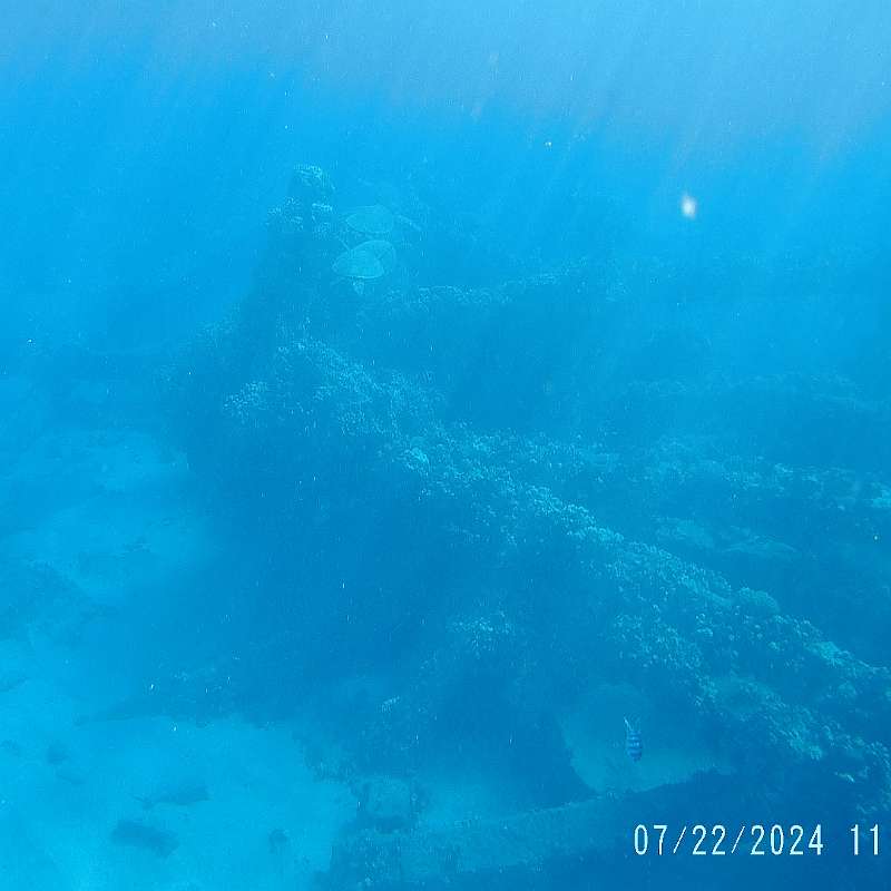 28: 2024-underwater_maui-0722_1159-52