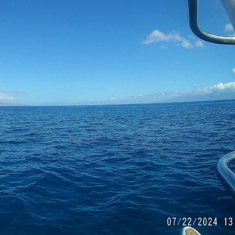 42: 2024-underwater_maui-0722_1304-68