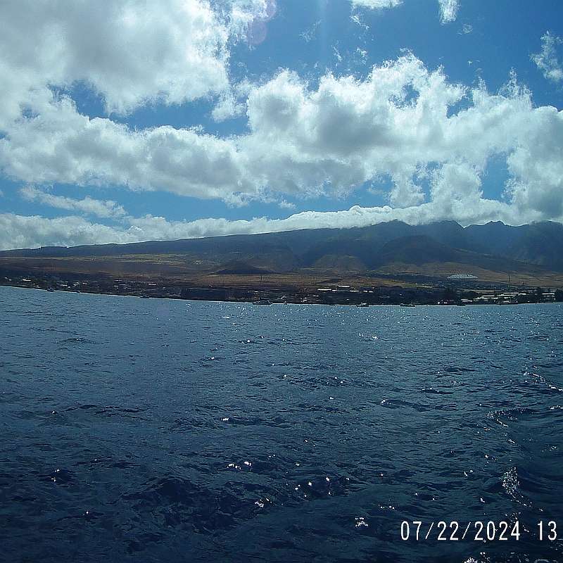 43: 2024-underwater_maui-0722_1305-69