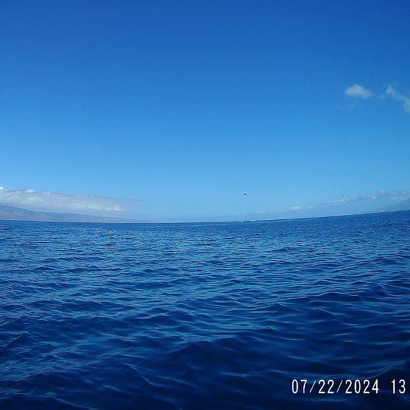 44: 2024-underwater_maui-0722_1305-71