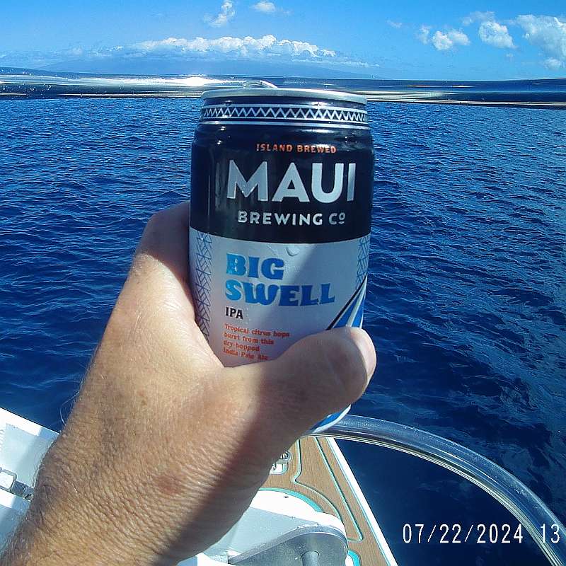 45: 2024-underwater_maui-0722_1306-72