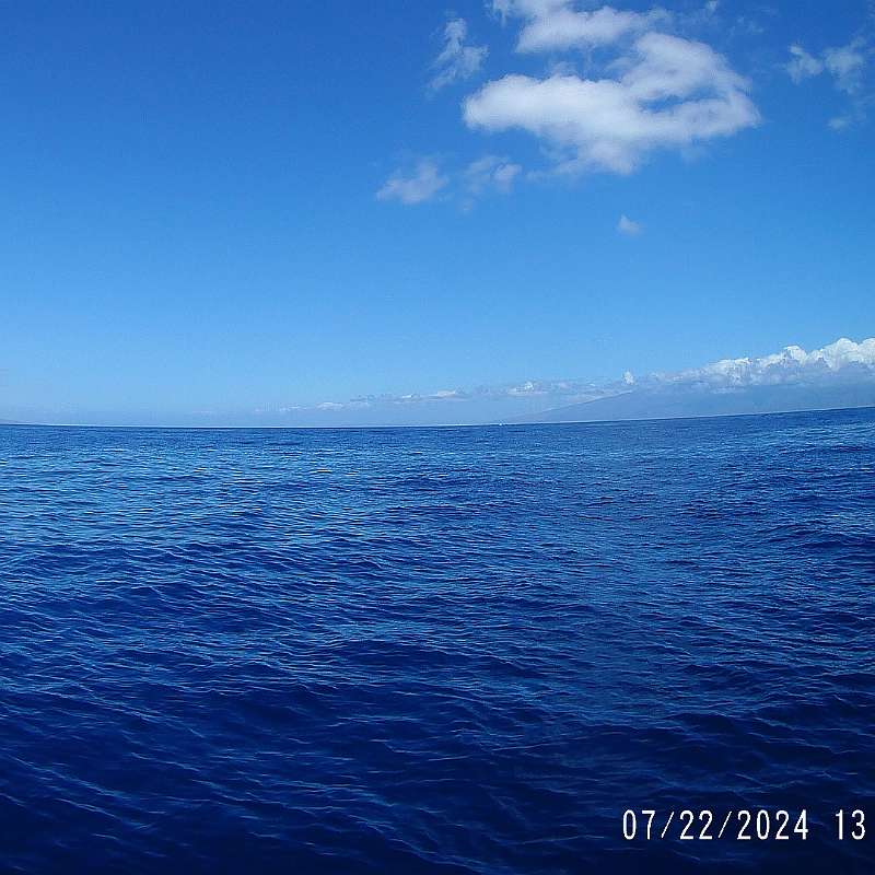 46: 2024-underwater_maui-0722_1310-73