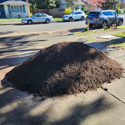 2025-fixing_backyard_grass-11_22-10_26-01