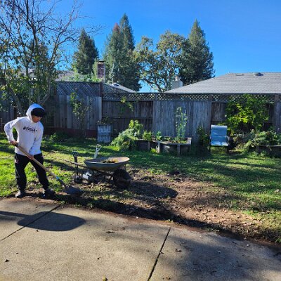 2025-fixing_backyard_grass-11_22-11_00-02