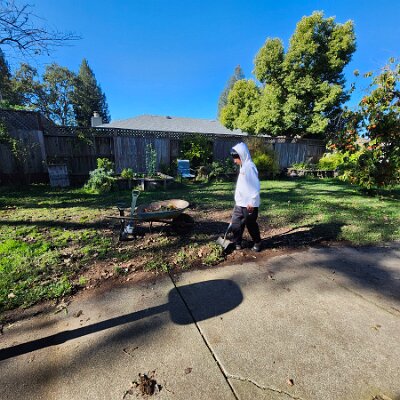 2025-fixing_backyard_grass-11_22-11_00-03