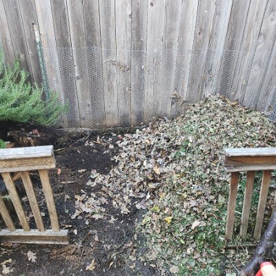 2025-fixing_backyard_grass-11_22-11_56-04