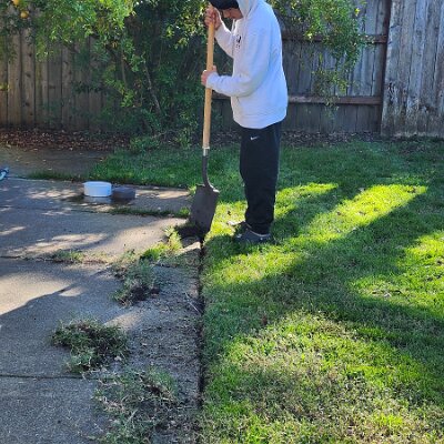 2025-fixing_backyard_grass-11_22-12_28-05