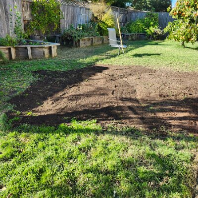 2025-fixing_backyard_grass-11_22-14_11-08