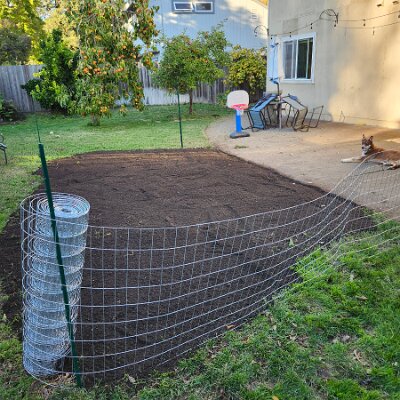 2025-fixing_backyard_grass-11_22-15_31-09