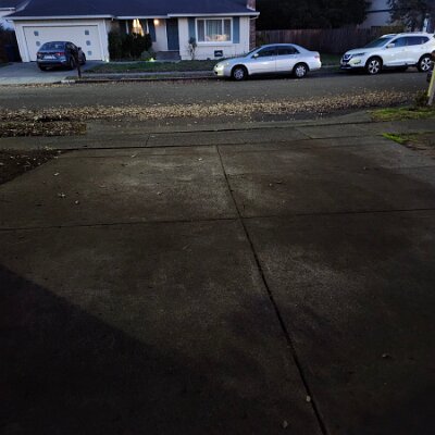 2025-fixing_backyard_grass-11_22-17_24-10