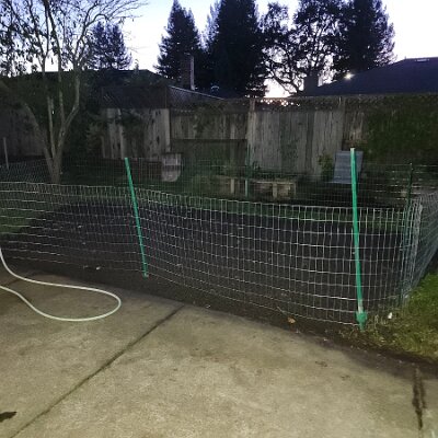 2025-fixing_backyard_grass-11_22-17_25-12