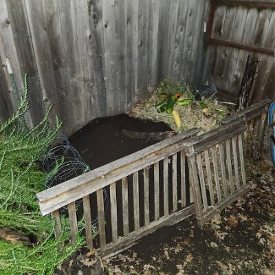 2025-fixing_backyard_grass-11_22-17_26-14