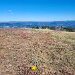 2025-bald_mtn-hike-10_04-14_37-19