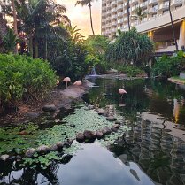 2025-maui-alex-07_23-19_03-01