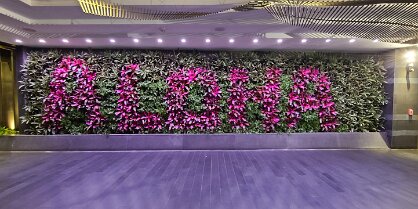 2025-maui-alex-07_23-21_49-03