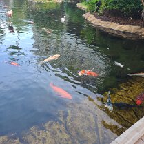 2025-maui-alex-07_24-08_43-04