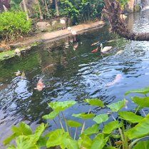 2025-maui-alex-07_24-08_43-05