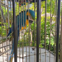 2025-maui-alex-07_24-10_26-06