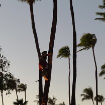 2025-maui-alex-07_25-19_13-08