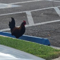 2025-maui-alex-07_27-10_06-13