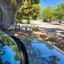 2025-maui-todd-07_14-12_24-01