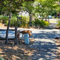 2025-maui-todd-07_14-12_24-02