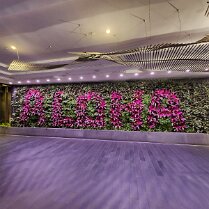 2025-maui-todd-07_23-21_49-10