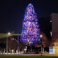 2025-t's_bday-12_11-20_03-01