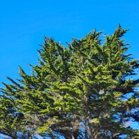 2025-t's_bday-12_12-13_10-09