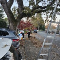 2025-t's_bday-12_13-16_53-24