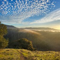 2025-t's_bday-12_14-16_25-27