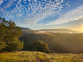 2025-t's_bday-12_14-16_26-28