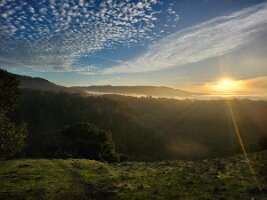 2025-t's_bday-12_14-16_26-29