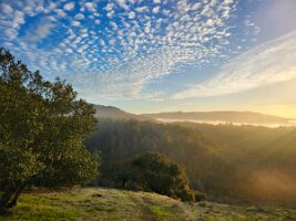 2025-t's_bday-12_14-16_27-30