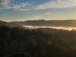 2025-t's_bday-12_14-16_27-31