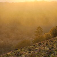 2025-t's_bday-12_14-16_31-34