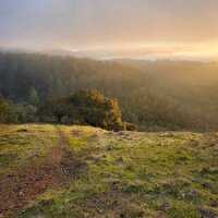 2025-t's_bday-12_14-16_32-35