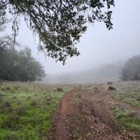 2025-t's_bday-12_14-16_49-38